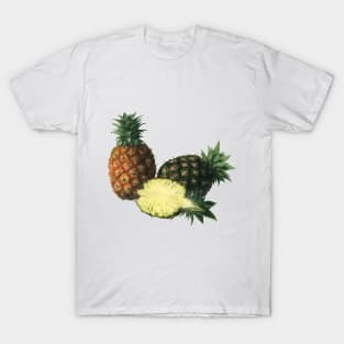 Vintage Hawaiian Pineapples T-Shirt